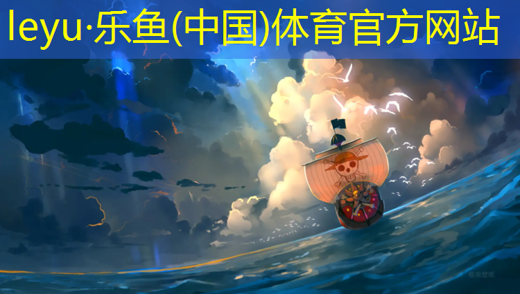 leyu·乐鱼(中国)体育官方网站,散打跆拳道护具要求