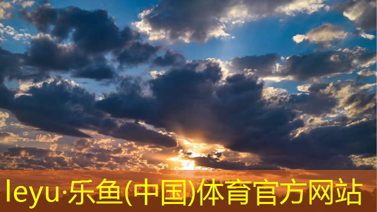 <strong>乐鱼体育官方网站,塑胶跑道研究</strong>