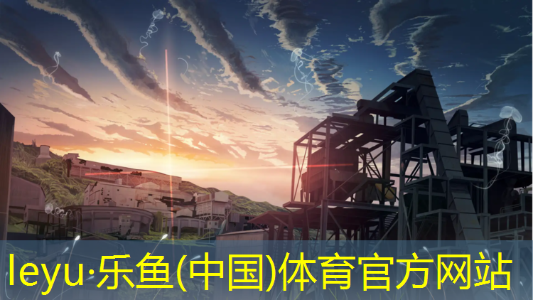 乐鱼体育,万州网球网价格多少_