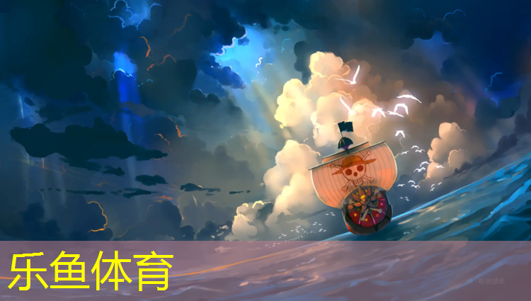 乐鱼体育,塑胶跑道排水设计改善