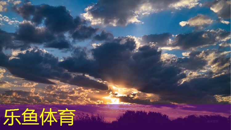 乐鱼体育,塑胶跑道材质种类分类