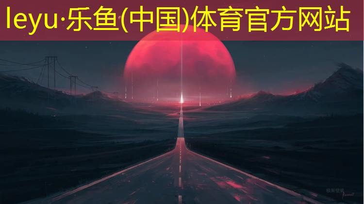 混合型塑胶跑道包括什么_