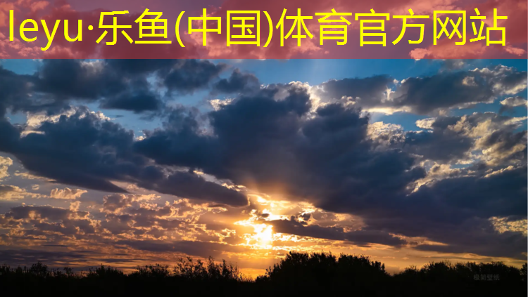 网球网上转球什么意思_