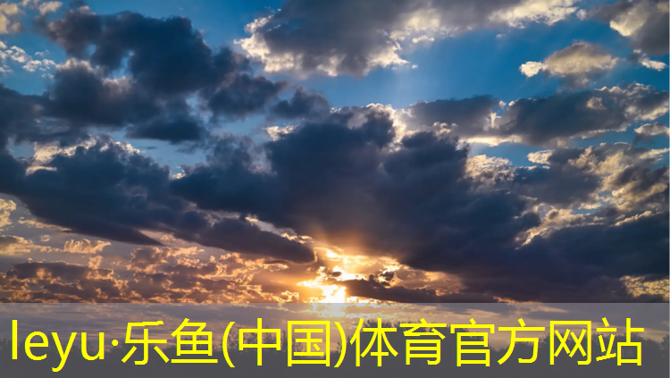 塑胶跑道材质种类分类