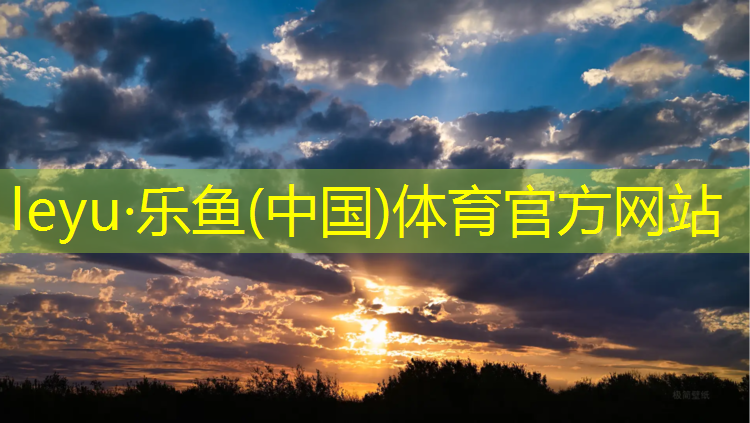 乒乓球台鞋带